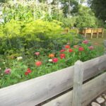 Experienced Gallery experts in Essex