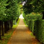 Trusted Essex Gallery services