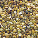 Rhine Gold Essex